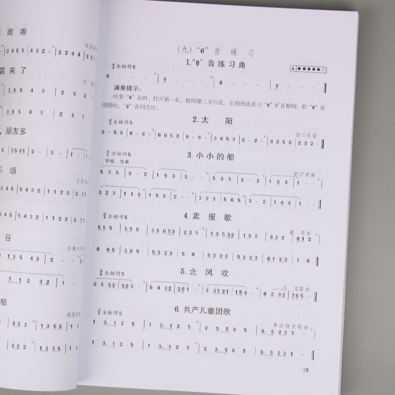 Adulto crianças adolescentes d - Musical Instrument In Chinese avaliação e preço